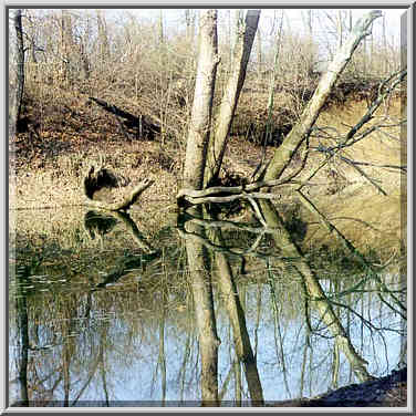 Burnett Creek near confluence to Wabash River ...[2 words]... Ground, Indiana, February 22, 1998.