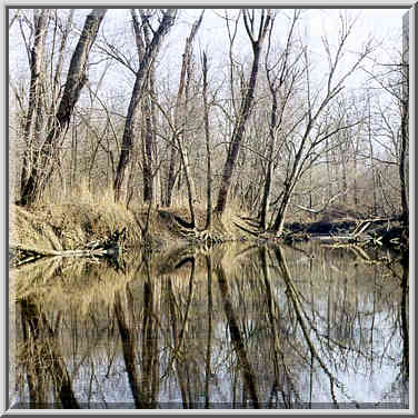 Burnett Creek near confluence to Wabash River ...[2 words]... Ground, Indiana, February 22, 1998.