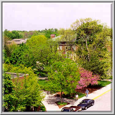 view from the lab of the Department of Chemistry 4/28/98