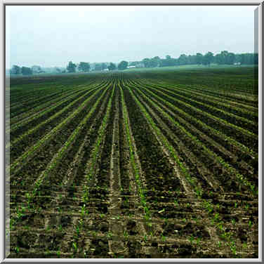 Near Wabash River 5/24/98