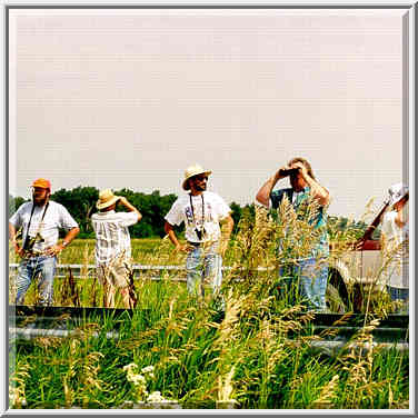 Watching sparrows in grassland near Universal mine, W. Indiana 6/28/98