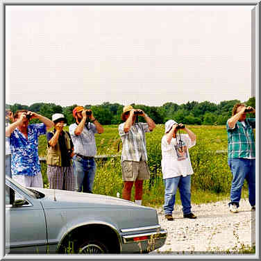 Watching sparrows in grassland near Universal mine, W. Indiana 6/28/98