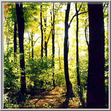 A park near Celery Bog in W. Lafayette 10/25/98