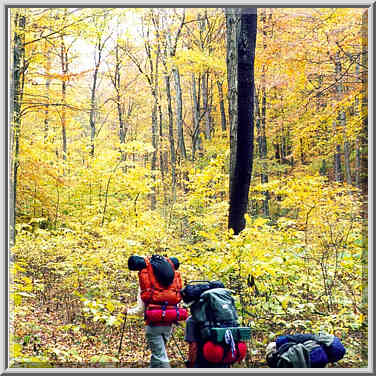 Knobstone Trail near Elk Creek? 10/31/98