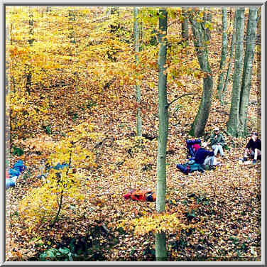 Knobstone Trail near Spurgeon Hollow in S. Indiana 11/1/98