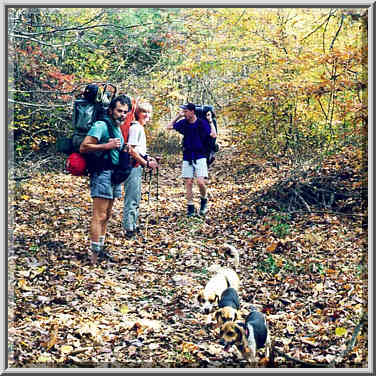 Knobstone Trail near Spurgeon Hollow in S. Indiana 11/1/98