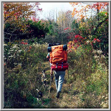 Knobstone Trail near Spurgeon Hollow in S. Indiana 11/1/98