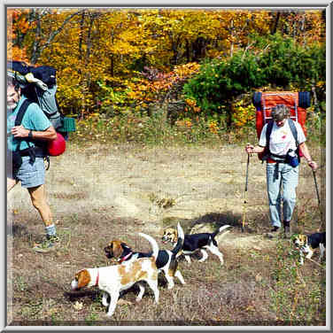 Knobstone Trail near Spurgeon Hollow in S. Indiana 11/1/98