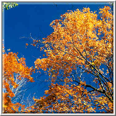 Happy Hollow Park in West Lafayette, Indiana, October 10, 1999.