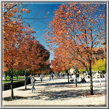 Purdue University Mall. West Lafayette, Indiana, October 10, 1999.