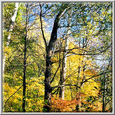 Happy Hollow Park. West Lafayette, Indiana, October 21, 1999.