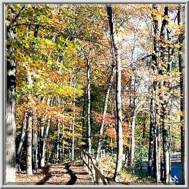 A trail in Happy Hollow Park. West Lafayette, Indiana, October 21, 1999.