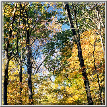 Happy Hollow Park. West Lafayette, Indiana, October 21, 1999.