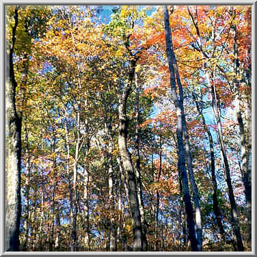 Happy Hollow Park. West Lafayette, Indiana, October 21, 1999.