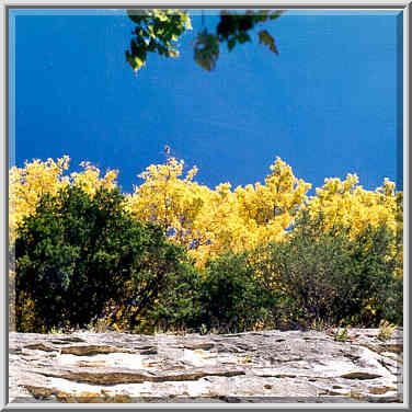 Rocks along Missouri River, view from Kathy Trail near Columbia, Missouri. October 23, 1999.