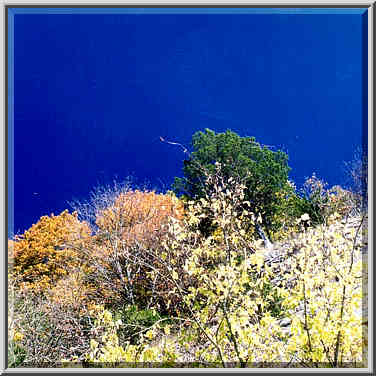 Rocks and bushes along Missouri River, view from ...[3 words]... Columbia, Missouri. October 23, 1999.