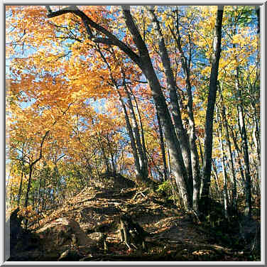 Soil erosion in Happy Hollow Park. West Lafayette, Indiana, October 27, 1999.