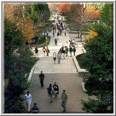 S.-w. side of Purdue Mall, view from Electrical ...[5 words]... Lafayette, Indiana, October 29, 1999.