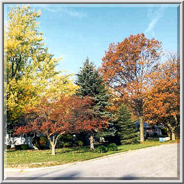 Garden (?) St. West Lafayette, Indiana, October 30, 1999.