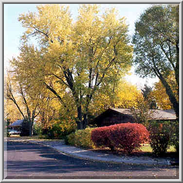 Corner of Garden St. and Elmwood Dr. West Lafayette, Indiana, October 30, 1999.