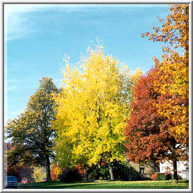 Corner of Hillcrest and Ravinia Rd. West Lafayette, Indiana, October 30, 1999.