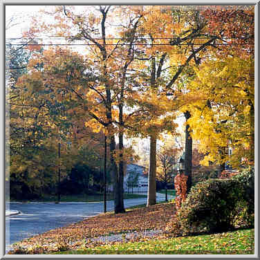 Ravinia Rd. West Lafayette, Indiana, October 30, 1999.