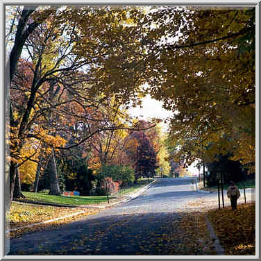 Leslie Ave. West Lafayette, Indiana, October 30, 1999.