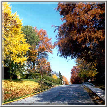 Ravinia Rd. West Lafayette, Indiana, October 30, 1999.