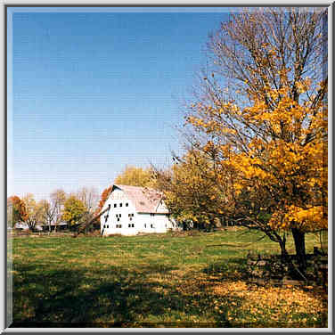 C.R. 500 N. 2 miles north from W. Lafayette. Indiana, October 30, 1999.