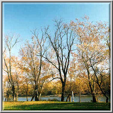 A meadow near Wabash River at Ross Hills Park 5 ...[3 words]... Lafayette. Indiana, October 30, 1999.