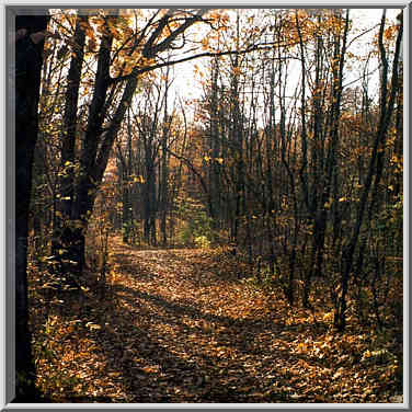 A trail along Wabash River at Ross Hills Park 5 ...[3 words]... Lafayette. Indiana, October 30, 1999.