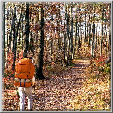 Rough Trail to Grays Arch. Red River Gorge, Kentucky, November 5, 1999.