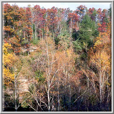 View from the top of Grays Arch at morning. Red River Gorge, Kentucky, November 6, 1999.