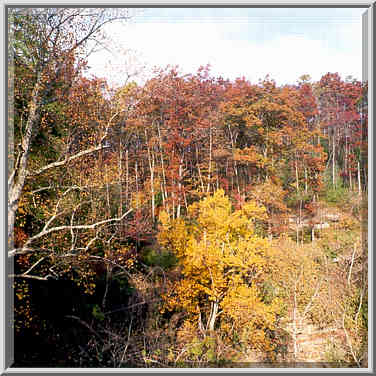 View from the top of Grays Arch at morning. Red River Gorge, Kentucky, November 6, 1999.