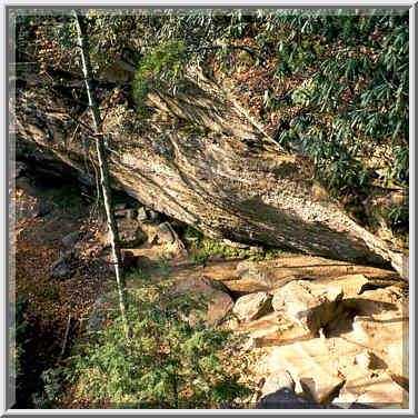 View of rock shelters from the top of Grays Arch. ...[2 words]... Gorge, Kentucky, November 6, 1999.