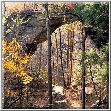 Grays Arch, view from rock shelters. Red River Gorge, Kentucky, November 6, 1999.