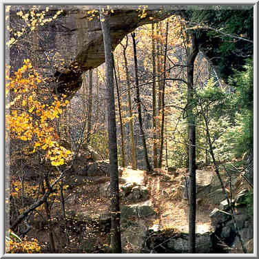 Grays Arch, view from rock shelters. Red River Gorge, Kentucky, November 6, 1999.