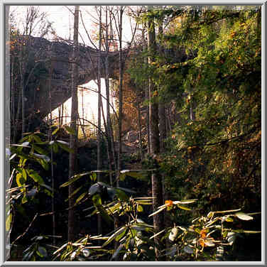 Grays Arch with rhododendron on foreground. Red River Gorge, Kentucky, November 6, 1999.