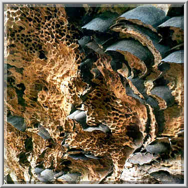 Erosion forms of limestone in a rock shelter at ...[4 words]... Gorge, Kentucky, November 6, 1999.