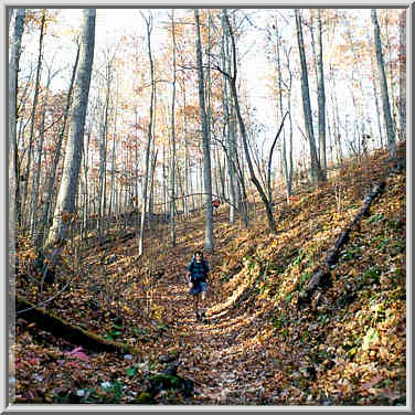 Sheltowee Trail. Red River Gorge, Kentucky, November 6, 1999.