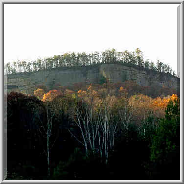 View of canyon walls at evening from Sheltowee ...[7 words]... Gorge, Kentucky, November 6, 1999.