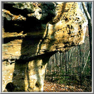 Mushroom-like limestone erosion forms at Koomer ...[4 words]... Gorge, Kentucky, November 7, 1999.