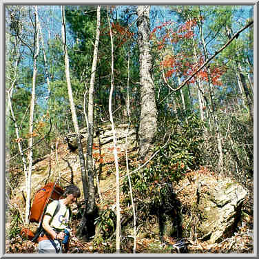 Buck Trail. Red River Gorge, Kentucky, November 7, 1999.