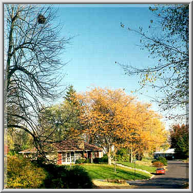 Foresthill Dr. West Lafayette, Indiana, November 8, 1999.