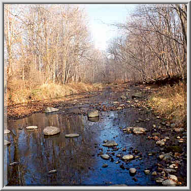 Burnett Creek down Tippecanoe Battlefield Park. Indiana, November 26, 1999