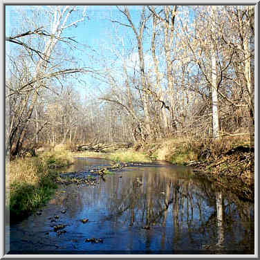 Burnett Creek near Davis Ferry Bridge. Indiana, November 26, 1999