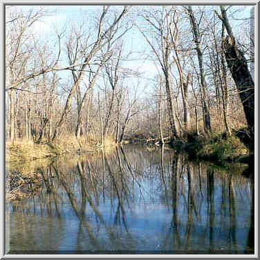 View of a beavers pond from a beavers damn across Burnett Creek. Indiana, November 26, 1999