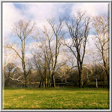 Ross Hills Park near Lafayette IN 12/18/99