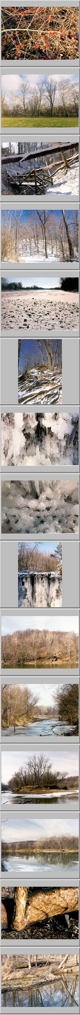 Column of 15 large thumbnails of pictures