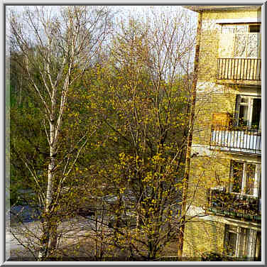 View of a residential apartment house at ...[14 words]... St. Petersburg, Russia, April 27, 1999.